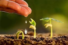 29. La verdad de la resurrección